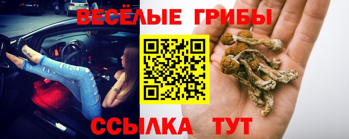 Псилоцибиновые грибы MAGIC MUSHROOMS Павлово